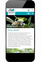 Image result for biaza