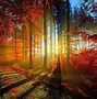 Image result for Fall Wallpaper