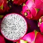 Image result for Fruits That Help with Weight Loss