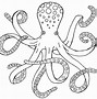 Image result for Octopus Outline SVG