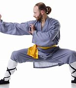 Image result for Dragon Style Kung Fu Forms