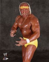 Image result for Hulk Hogan Theme