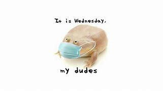 Image result for Wed My Dude Meme