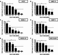 Image result for Cell Viability SRB Assay