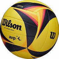 Image result for Wilson AVP Beach Volleyball