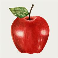 Image result for Apple Fruit Drawing Dark Outline