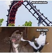 Image result for Standing Up On a Gravity Ride Meme