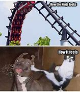 Image result for Round Up-Ride Meme