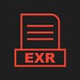 Image result for EXR File