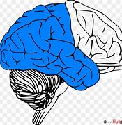 Image result for Thinking Brain Clip Art