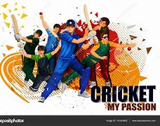 Image result for IPL Cricket