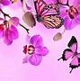 Image result for Neon Pink Butterflies