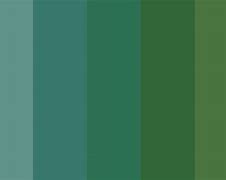 Image result for Evergreen Color