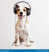 Image result for Dog Listening to Music