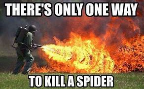 Image result for Funny Spider Gun Meme