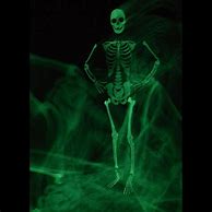 Image result for Glow in the Dark Skeleton Costume