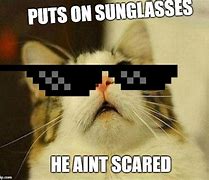 Image result for Scraed Cat Meme