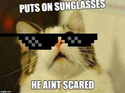 Image result for Kitty Cat Scared Meme