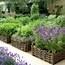 Image result for Cool Garden Ideas