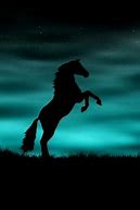 Image result for Live Horse Screensavers