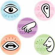 Image result for 5 Senses Clip Art