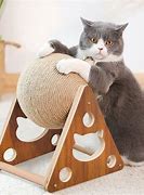 Image result for Cat Products