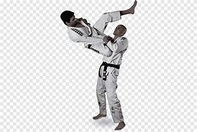 Image result for Brazilian Jiu Jitsu Training