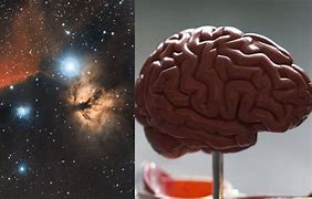 Image result for The Universe Like a Brain