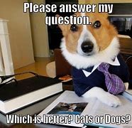 Image result for Answer Questions Meme