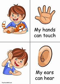 Image result for Five Senses Printables for Kids