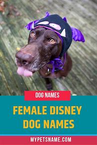 Image result for Cute Disney Dog Names