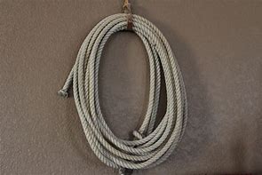 Image result for Coiled Lasso Rope