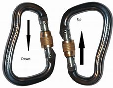 Image result for Twisted Carabiner