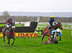 Image result for Horse Racing Shoes