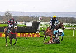 Image result for Horse Racing Portrait