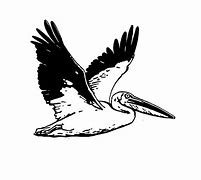 Image result for Pelican Landing Clip Art Black and White