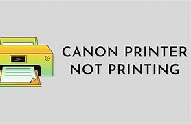 Image result for Canon Printer Not Printing