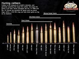 Image result for Bullet Size Chart Desk Pad
