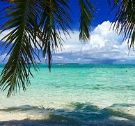 Image result for Tropical Lagoon