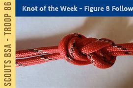Image result for Figure Eight Knot Book