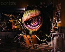 Image result for Audrey Little Shop of Horrors Movie