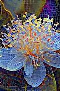 Image result for Mosaic
