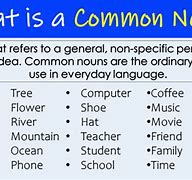 Image result for Common Noun