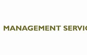 Image result for BH Management Logo