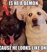 Image result for Funny Evil-Dog Memes