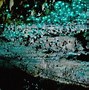 Image result for Sun Dong Cave