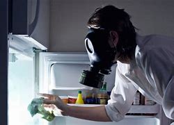 Image result for Office Fridge Clean Out