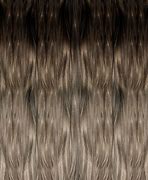 Image result for Photshop Hair Texture