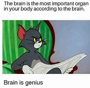Image result for Expandimg Brain Meme