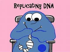 Image result for Epigenetics Meme